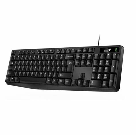 TECLADO GENIUS KB-117