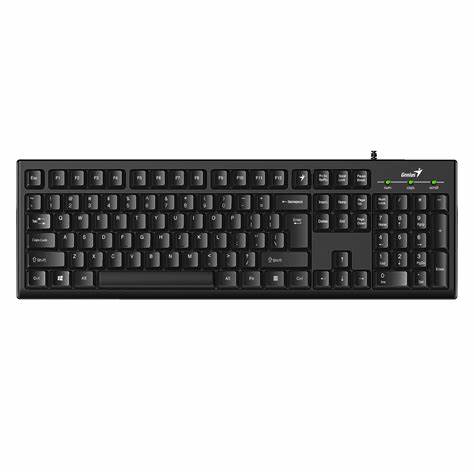 TECLADO GENIUS KB-100 